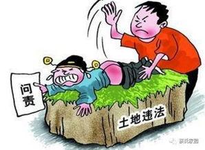 土地纠纷,探寻争议背后的法律与民生问题  第3张