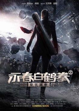 永春白鹤拳之擎天画卷,擎天画卷中的武术传奇 第2张 永春白鹤拳之擎天画卷,擎天画卷中的武术传奇 第2张