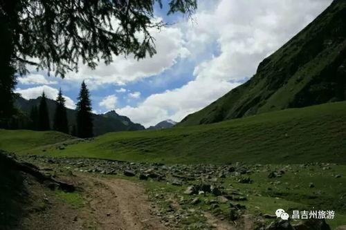 野狼谷,荒野探险与狼群传奇的神秘之旅 第3张 野狼谷,荒野探险与狼群传奇的神秘之旅 第3张