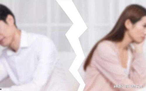 有本事别复婚 第3张 有本事别复婚 第3张