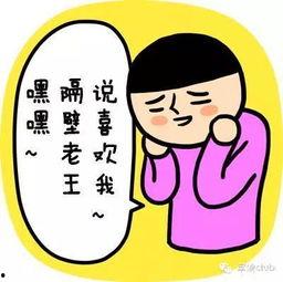 隔壁老王,揭秘邻里间的温馨故事 第3张 隔壁老王,揭秘邻里间的温馨故事 第3张