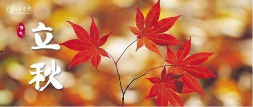 今秋有风,风起云涌，今秋的风韵  第2张